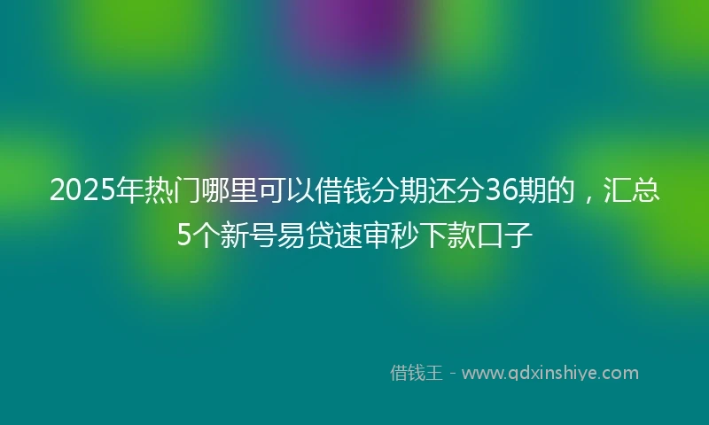 2025年热门哪里可以借钱分期还分36期的，汇总5个新号易贷速审秒下款口子