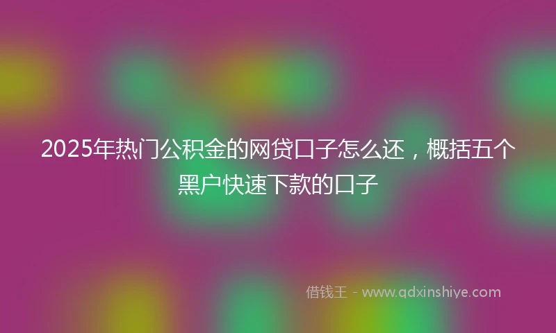 2025年热门公积金的网贷口子怎么还，概括五个黑户快速下款的口子