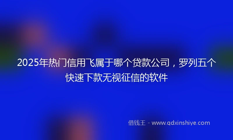 2025年热门信用飞属于哪个贷款公司，罗列五个快速下款无视征信的软件