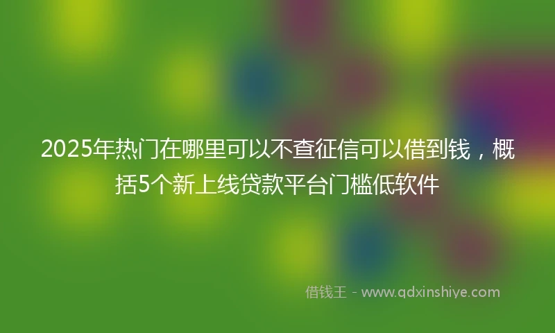 2025年热门在哪里可以不查征信可以借到钱，概括5个新上线贷款平台门槛低软件