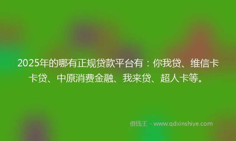 2025年的哪有正规贷款平台有：你我贷、维信卡卡贷、中原消费金融、我来贷、超人卡等。