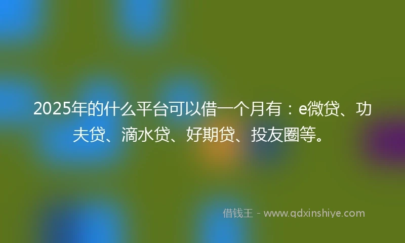2025年的什么平台可以借一个月有：e微贷、功夫贷、滴水贷、好期贷、投友圈等。