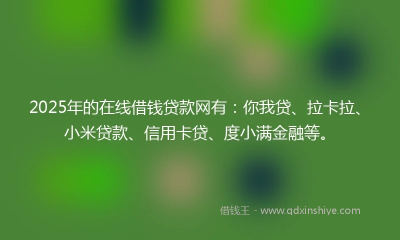 2025年的在线借钱贷款网有：你我贷、拉卡拉、小米贷款、信用卡贷、度小满金融等。