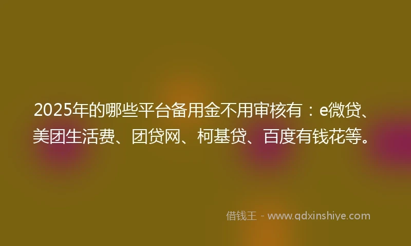 2025年的哪些平台备用金不用审核有：e微贷、美团生活费、团贷网、柯基贷、百度有钱花等。
