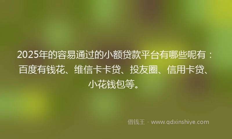 2025年的容易通过的小额贷款平台有哪些呢有：百度有钱花、维信卡卡贷、投友圈、信用卡贷、小花钱包等。