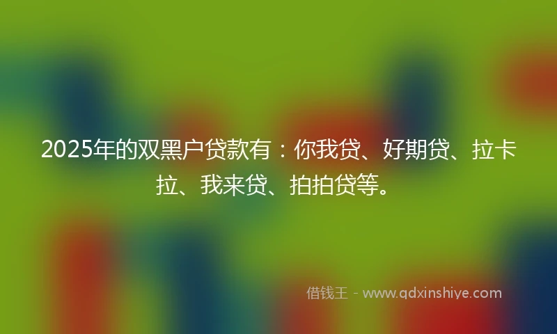 2025年的双黑户贷款有：你我贷、好期贷、拉卡拉、我来贷、拍拍贷等。