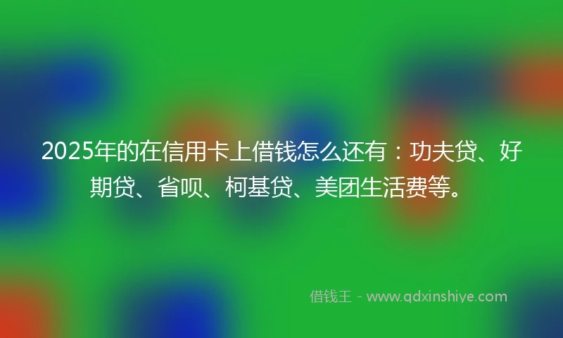 2025年的在信用卡上借钱怎么还有：功夫贷、好期贷、省呗、柯基贷、美团生活费等。