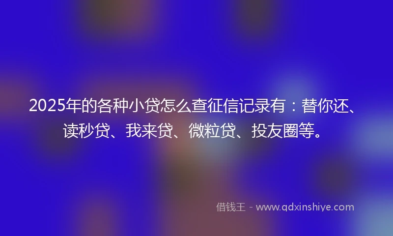 2025年的各种小贷怎么查征信记录有：替你还、读秒贷、我来贷、微粒贷、投友圈等。