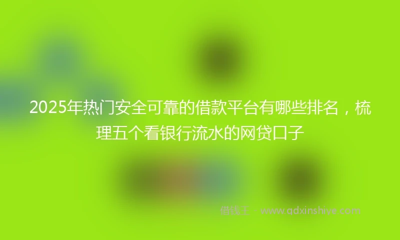 2025年热门安全可靠的借款平台有哪些排名，梳理五个看银行流水的网贷口子