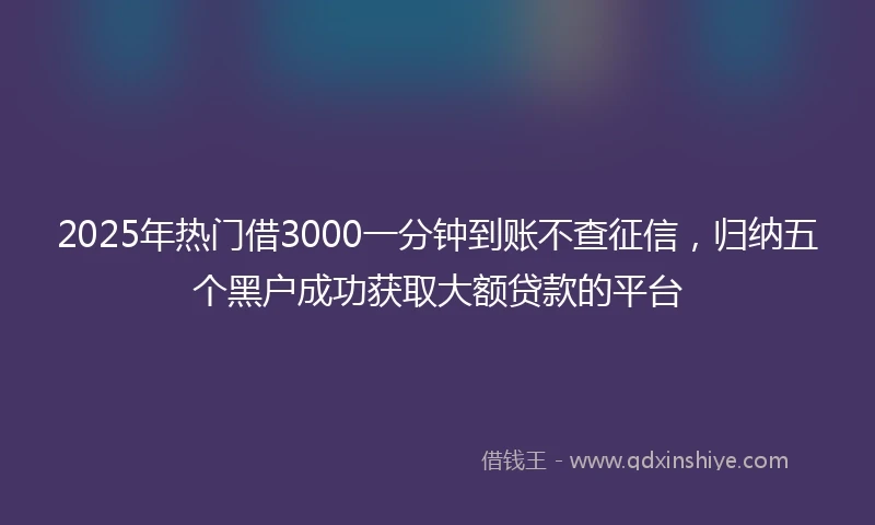 2025年热门借3000一分钟到账不查征信，归纳五个黑户成功获取大额贷款的平台