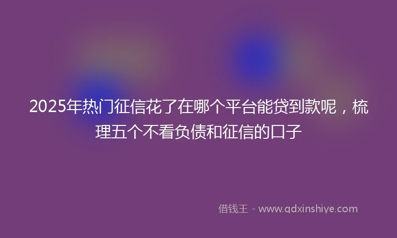 2025年热门征信花了在哪个平台能贷到款呢，梳理五个不看负债和征信的口子