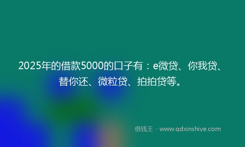 2025年的借款5000的口子有：e微贷、你我贷、替你还、微粒贷、拍拍贷等。