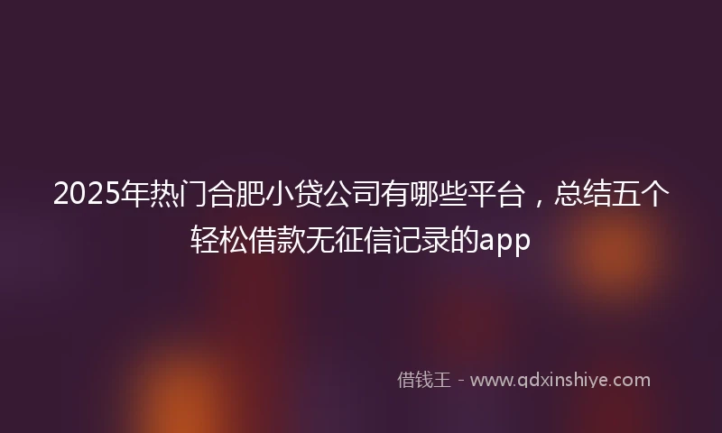 2025年热门合肥小贷公司有哪些平台，总结五个轻松借款无征信记录的app