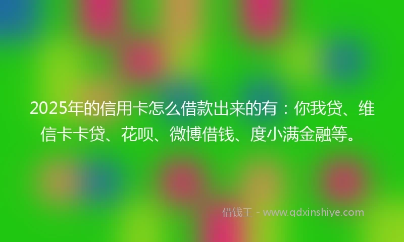 2025年的信用卡怎么借款出来的有：你我贷、维信卡卡贷、花呗、微博借钱、度小满金融等。