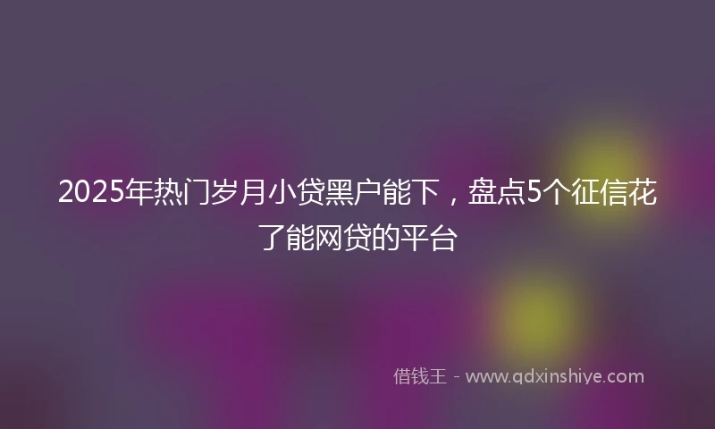 2025年热门岁月小贷黑户能下，盘点5个征信花了能网贷的平台