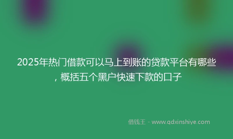 2025年热门借款可以马上到账的贷款平台有哪些，概括五个黑户快速下款的口子
