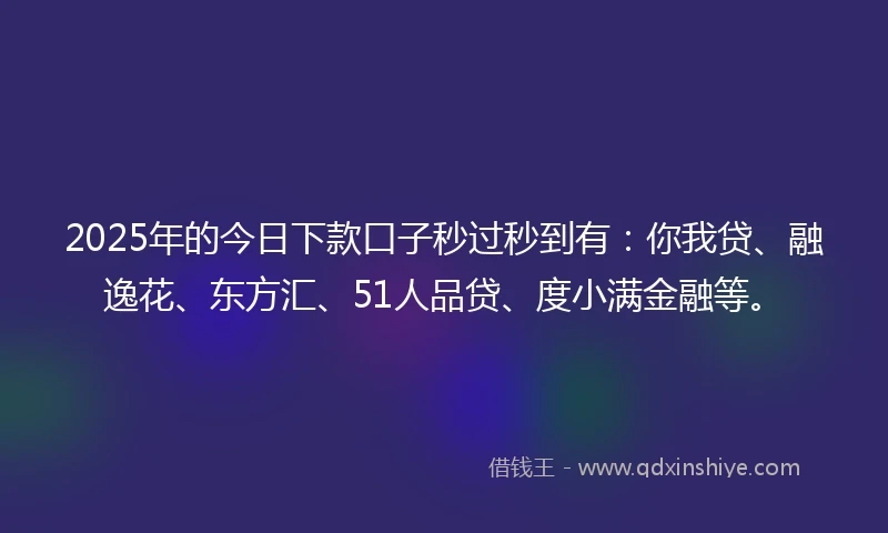 2025年的今日下款口子秒过秒到有：你我贷、融逸花、东方汇、51人品贷、度小满金融等。