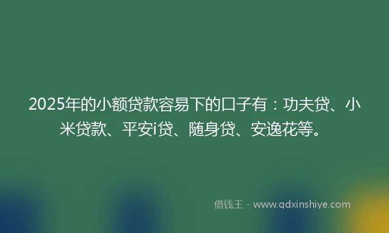 2025年的小额贷款容易下的口子有：功夫贷、小米贷款、平安i贷、随身贷、安逸花等。
