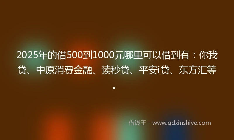2025年的借500到1000元哪里可以借到有：你我贷、中原消费金融、读秒贷、平安i贷、东方汇等。