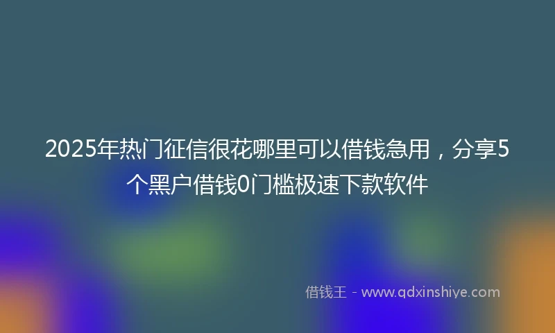 2025年热门征信很花哪里可以借钱急用，分享5个黑户借钱0门槛极速下款软件