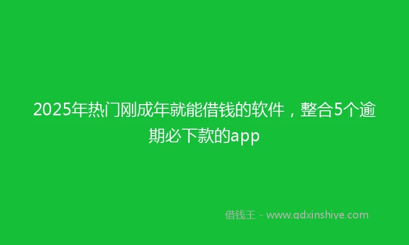 2025年热门刚成年就能借钱的软件，整合5个逾期必下款的app