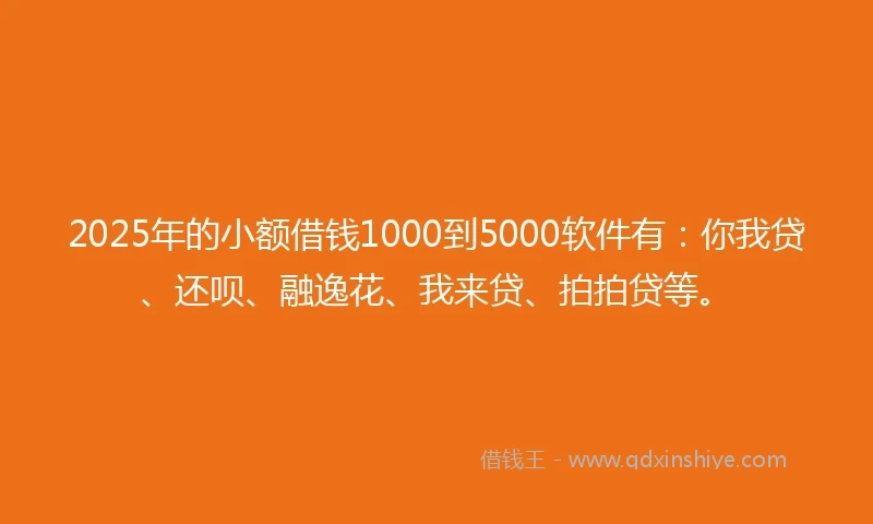 2025年的小额借钱1000到5000软件有：你我贷、还呗、融逸花、我来贷、拍拍贷等。