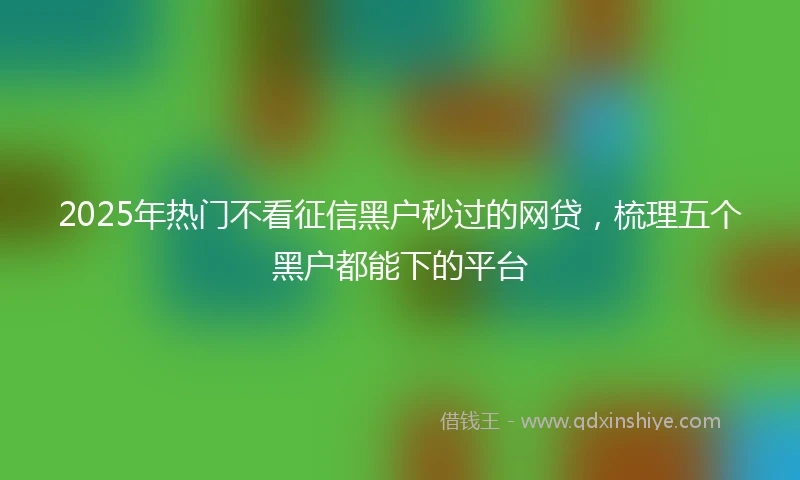 2025年热门不看征信黑户秒过的网贷，梳理五个黑户都能下的平台