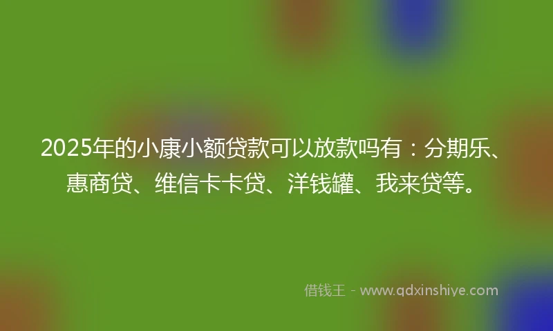 2025年的小康小额贷款可以放款吗有：分期乐、惠商贷、维信卡卡贷、洋钱罐、我来贷等。