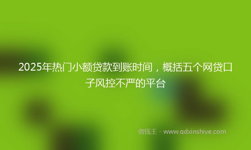 2025年热门小额贷款到账时间，概括五个网贷口子风控不严的平台