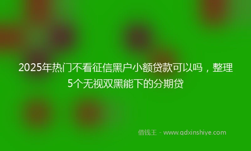 2025年热门不看征信黑户小额贷款可以吗，整理5个无视双黑能下的分期贷