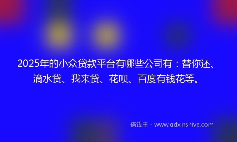 2025年的小众贷款平台有哪些公司有：替你还、滴水贷、我来贷、花呗、百度有钱花等。