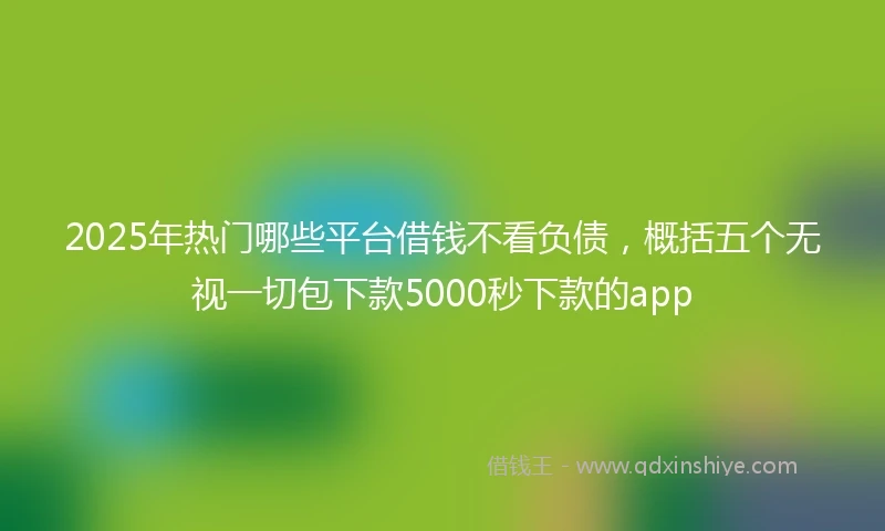 2025年热门哪些平台借钱不看负债，概括五个无视一切包下款5000秒下款的app