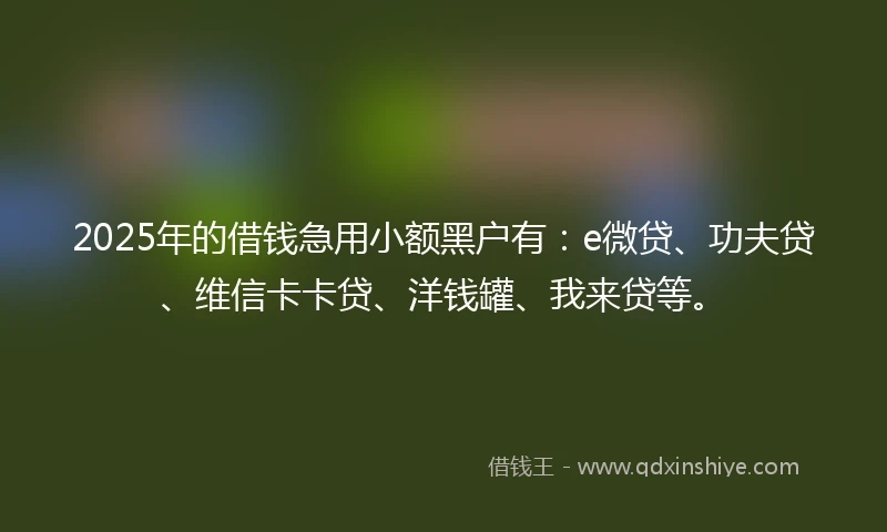 2025年的借钱急用小额黑户有：e微贷、功夫贷、维信卡卡贷、洋钱罐、我来贷等。