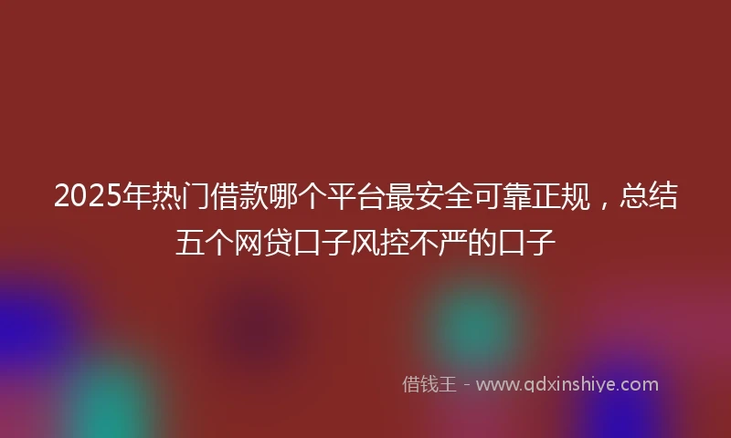 2025年热门借款哪个平台最安全可靠正规，总结五个网贷口子风控不严的口子