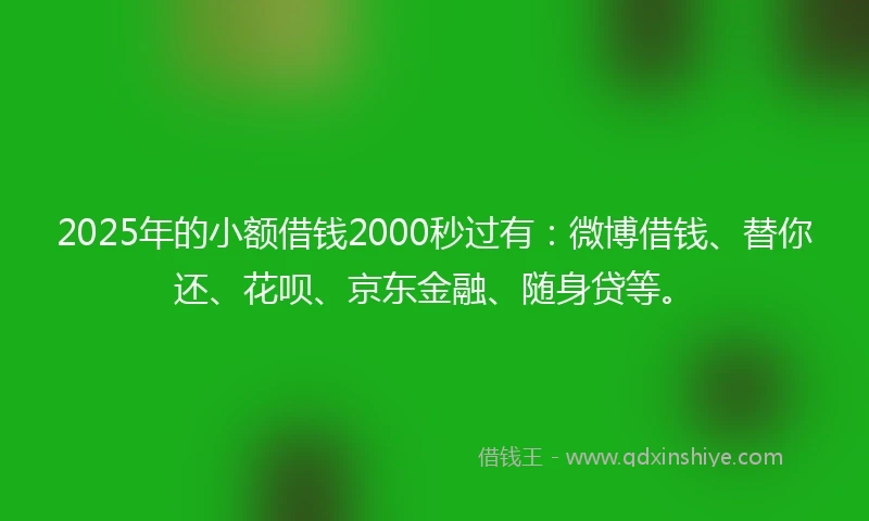 2025年的小额借钱2000秒过有：微博借钱、替你还、花呗、京东金融、随身贷等。