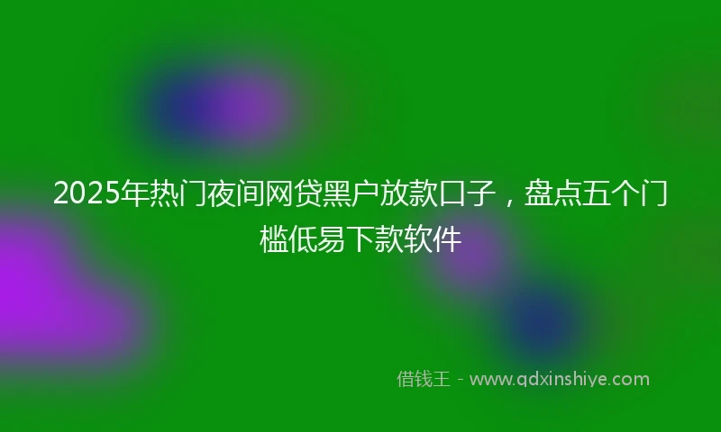 2025年热门夜间网贷黑户放款口子，盘点五个门槛低易下款软件