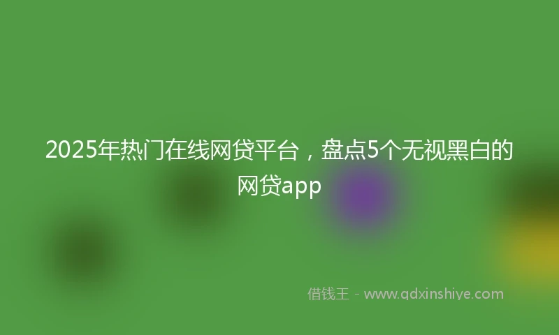 2025年热门在线网贷平台，盘点5个无视黑白的网贷app