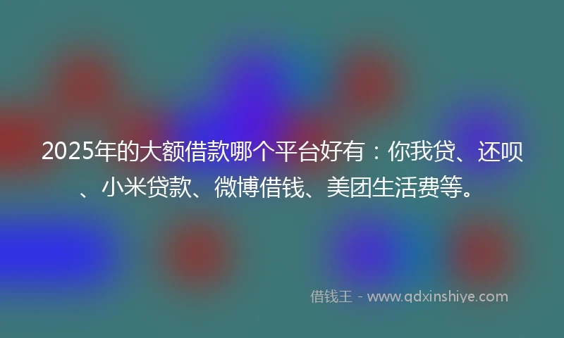 2025年的大额借款哪个平台好有：你我贷、还呗、小米贷款、微博借钱、美团生活费等。