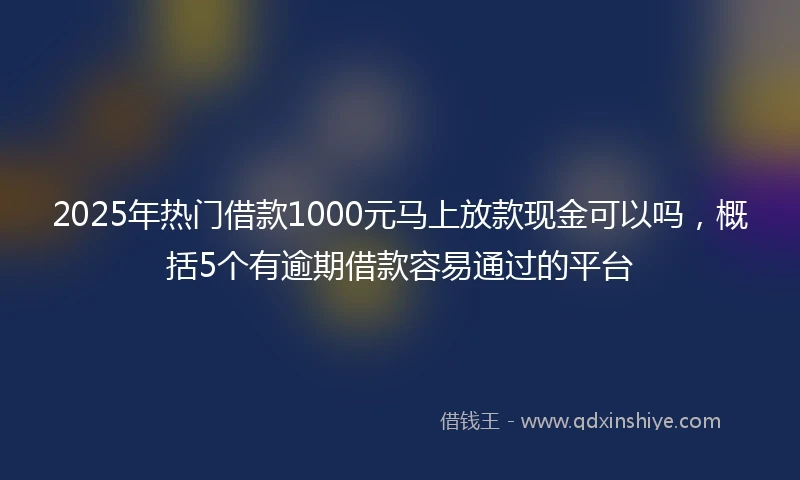2025年热门借款1000元马上放款现金可以吗，概括5个有逾期借款容易通过的平台
