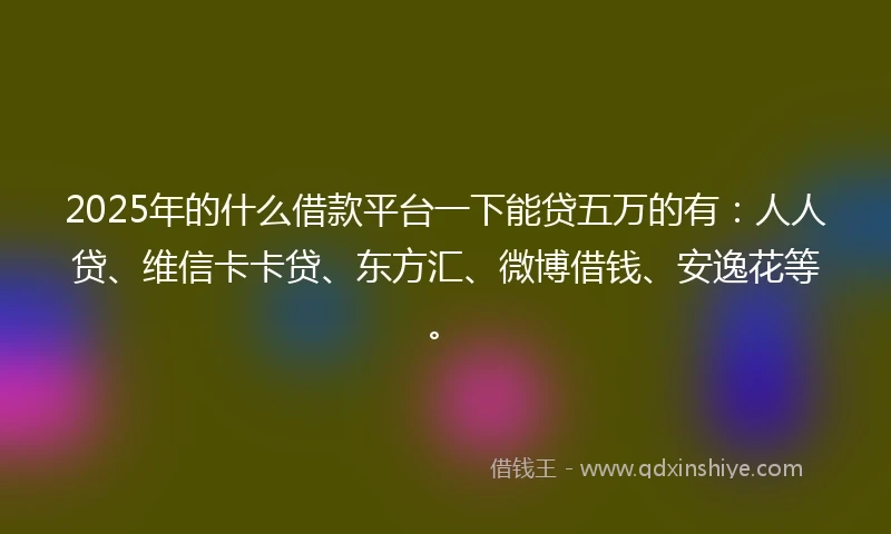 2025年的什么借款平台一下能贷五万的有：人人贷、维信卡卡贷、东方汇、微博借钱、安逸花等。