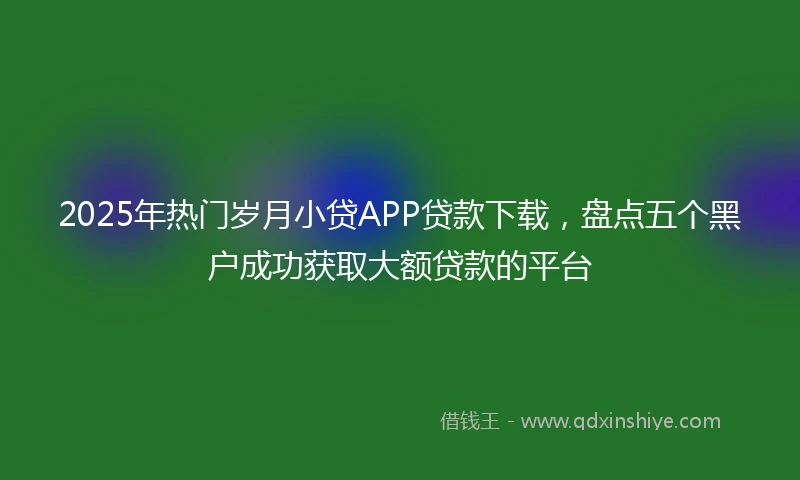 2025年热门岁月小贷APP贷款下载，盘点五个黑户成功获取大额贷款的平台