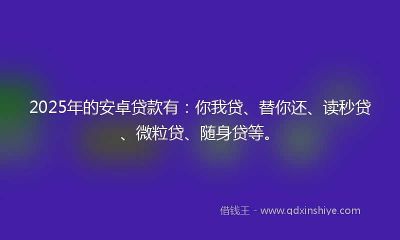 2025年的安卓贷款有：你我贷、替你还、读秒贷、微粒贷、随身贷等。