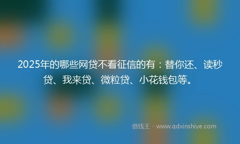 2025年的哪些网贷不看征信的有：替你还、读秒贷、我来贷、微粒贷、小花钱包等。