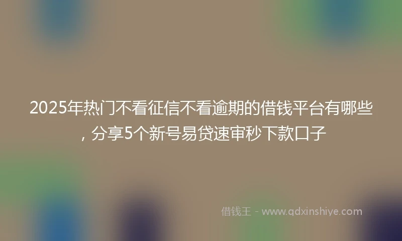 2025年热门不看征信不看逾期的借钱平台有哪些，分享5个新号易贷速审秒下款口子