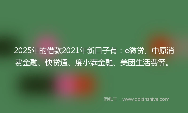 2025年的借款2021年新口子有：e微贷、中原消费金融、快贷通、度小满金融、美团生活费等。