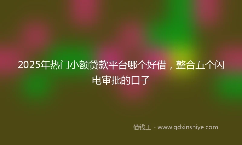 2025年热门小额贷款平台哪个好借，整合五个闪电审批的口子