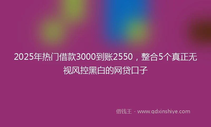 2025年热门借款3000到账2550，整合5个真正无视风控黑白的网贷口子