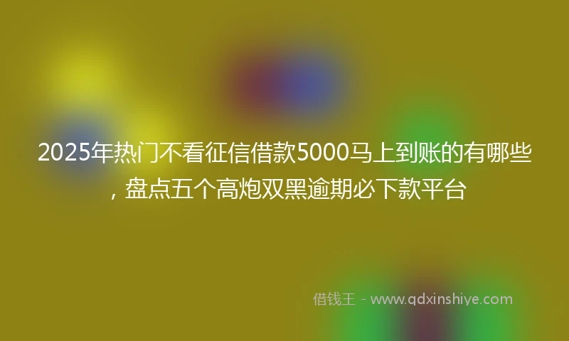 2025年热门不看征信借款5000马上到账的有哪些，盘点五个高炮双黑逾期必下款平台
