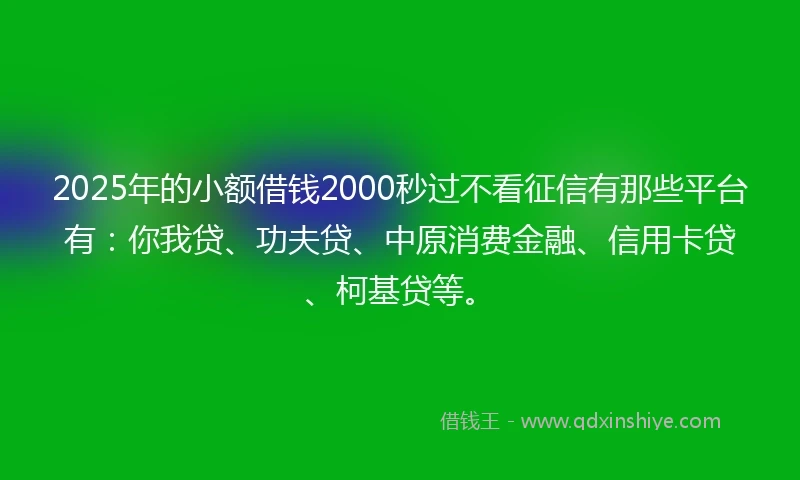 2025年的小额借钱2000秒过不看征信有那些平台有：你我贷、功夫贷、中原消费金融、信用卡贷、柯基贷等。