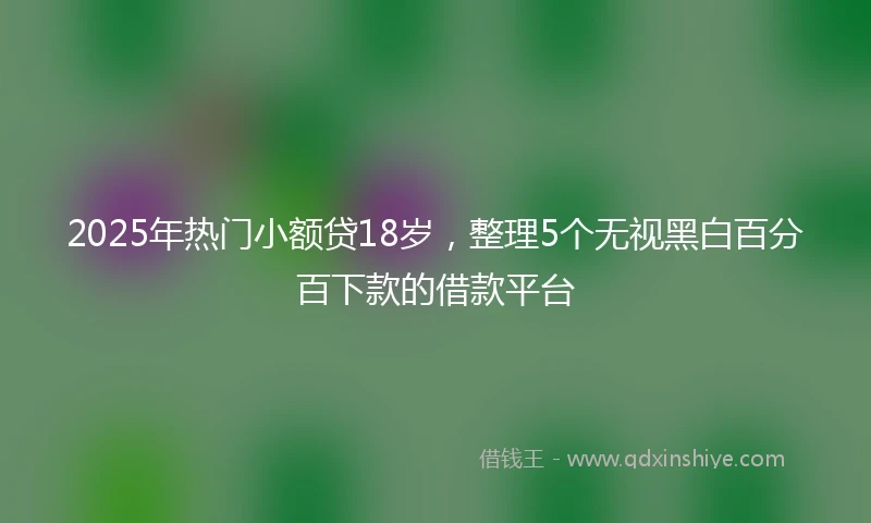 2025年热门小额贷18岁，整理5个无视黑白百分百下款的借款平台